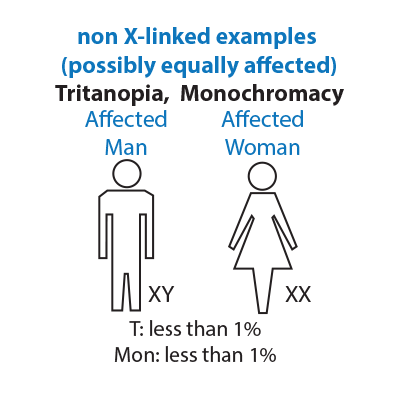 non-sex linked diagram