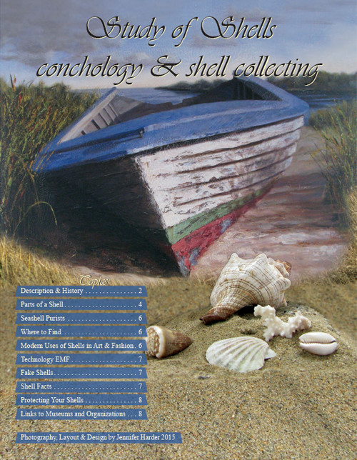 Shell Brochure