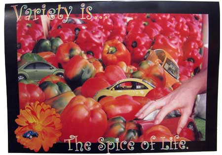 Spice of Life Beetle Car Poster