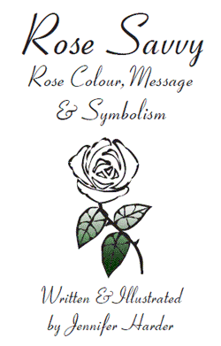 Rose Savvy Book Cover