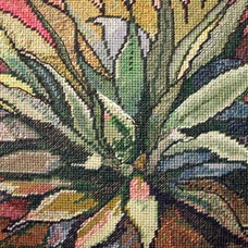 agave needlepoint